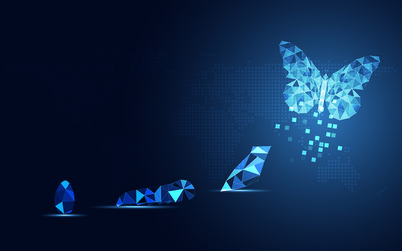 Abstract Business digital transformation innovative of butterfly life cycle evolution blue background.