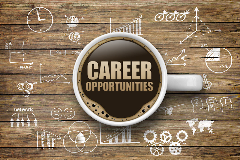 New consulting business