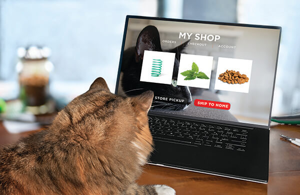 cat-shopping-online