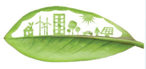 green leaf with sustainability theme