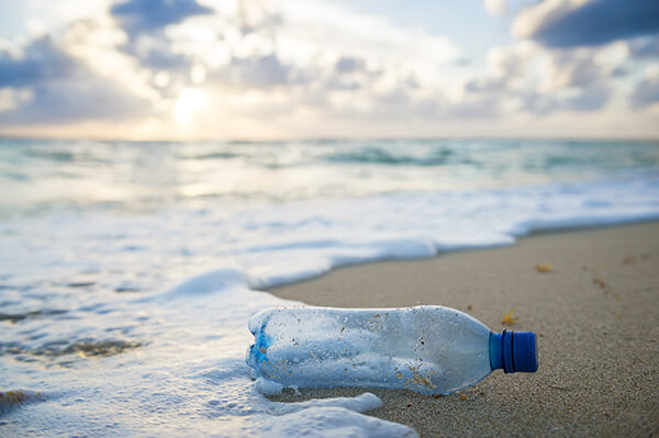pastic-water-bottle-on-shore