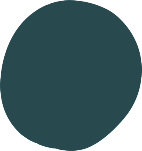 Kiwi primary colors. Turquoise