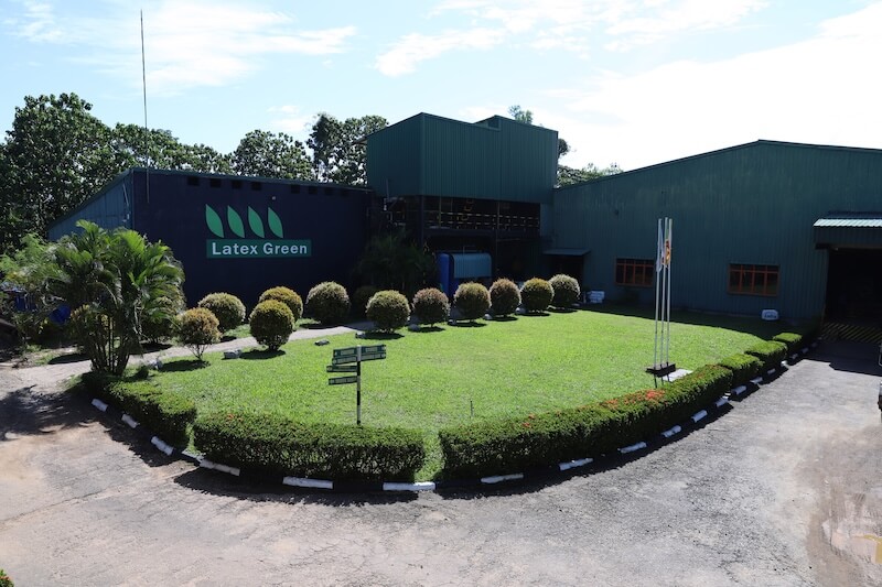 Sri Lanka-based Latex Green Private Ltd. celebrates its 20th anniversary as a certified organic latex foam producer.