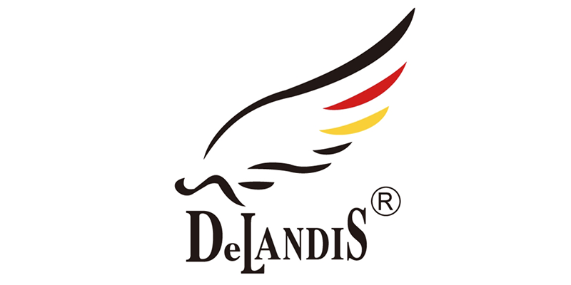 DeLandis Horizontal Logo