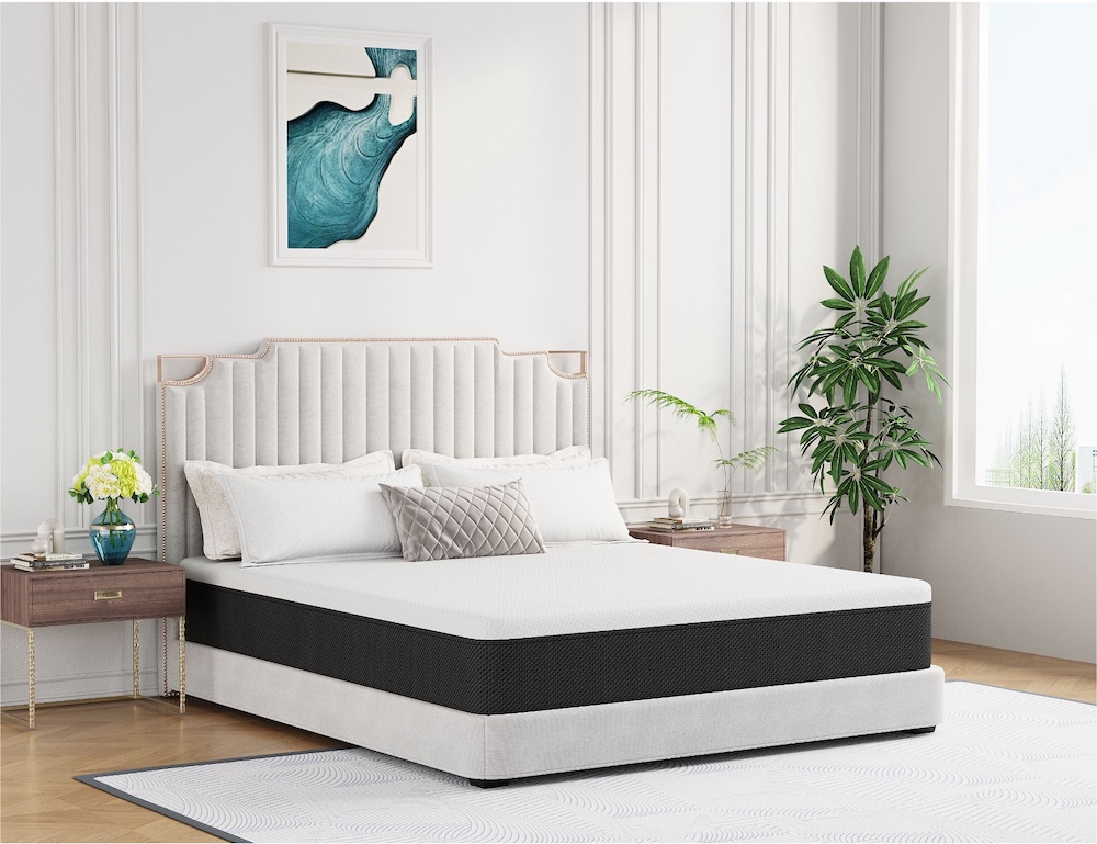 New DeLandis direct dropship program to roll out in August with priority partner sign-up at Las Vegas Market.
